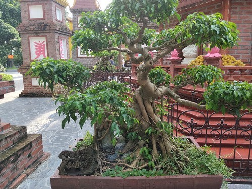 IMG 20251015 155013.jpg