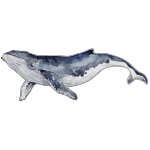 Untitled design 3 removebg preview.png