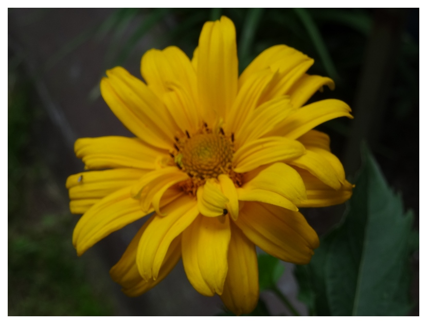 [Image: qTLMC3G.jpg]