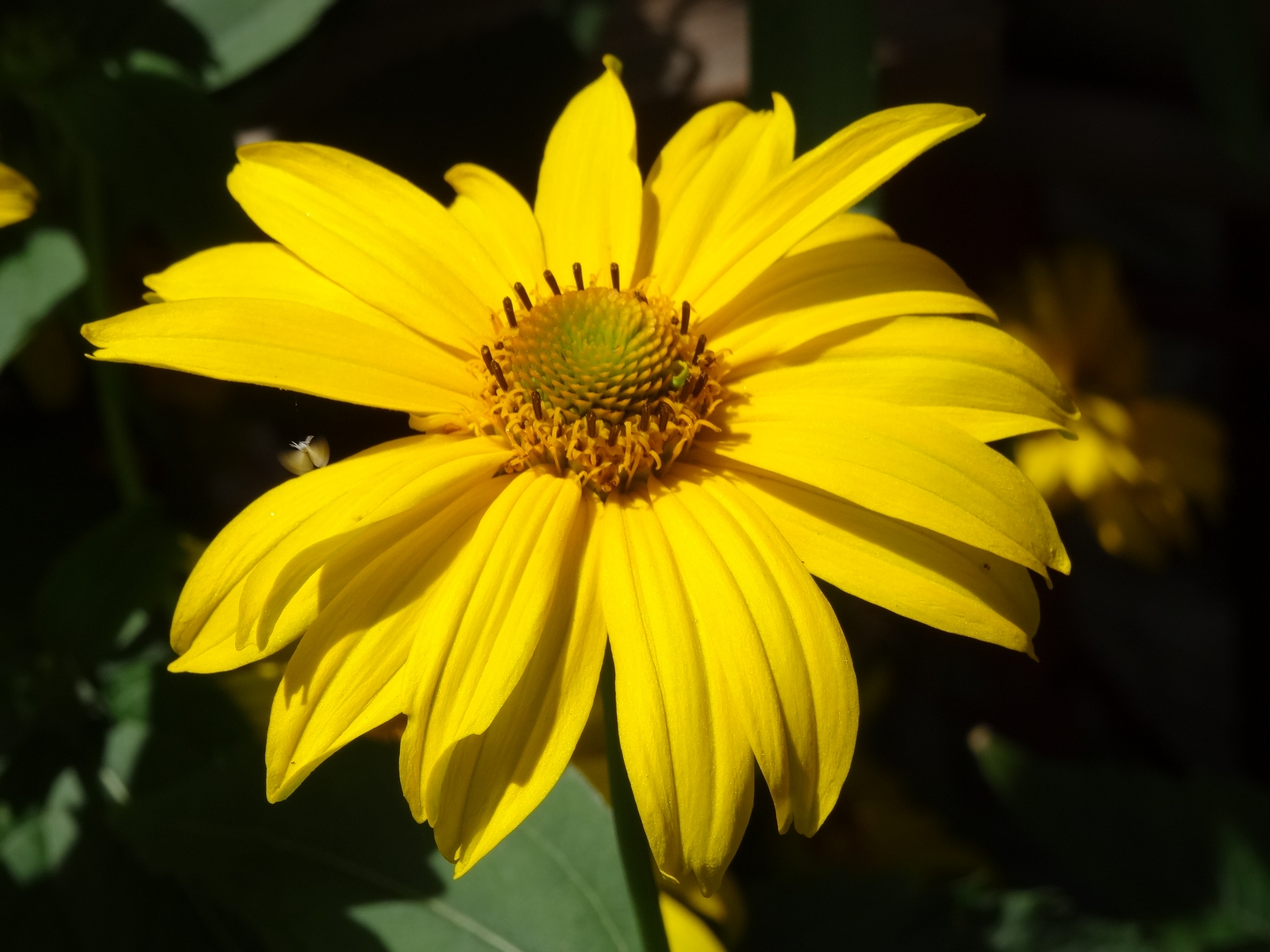 [Image: qTLMKCX.jpg]