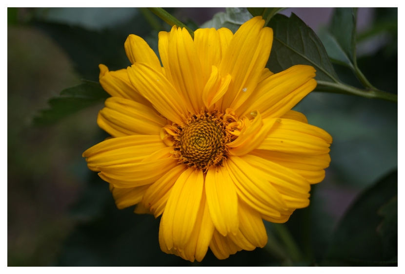 [Image: qTLMq4s.jpg]