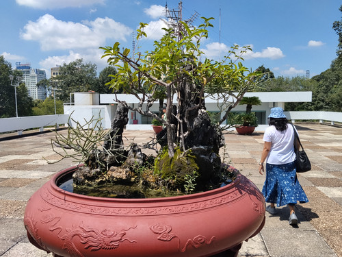 IMG 20251019 113328.jpg