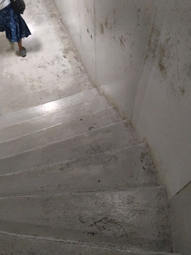 IMG 20251019 114223.jpg