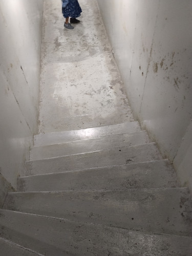 IMG 20251019 114225.jpg