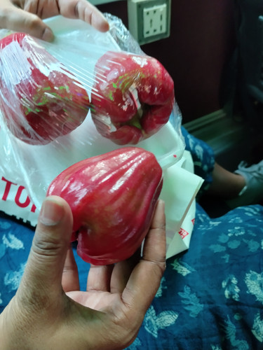 IMG 20251019 151344.jpg