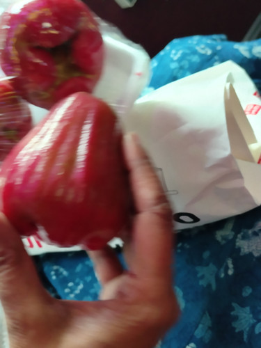 IMG 20251019 151349.jpg