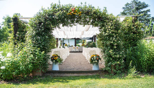 Wedding venue in Sirsa, Haryana - The MSG Resort Sirsa.jpg