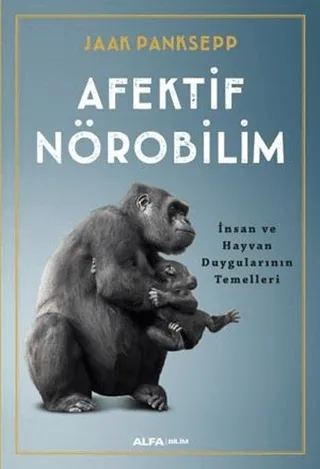 odak 341941.webp