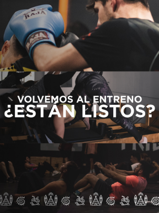 galeria.png