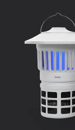 image download (2).webp