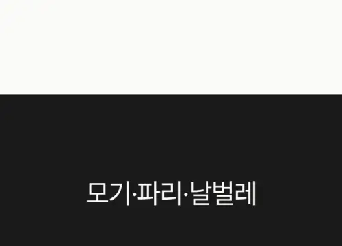 image download (6).webp