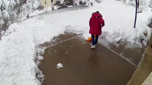 Clip Tiger 00 00 10.jpg