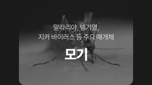 image download (26).webp