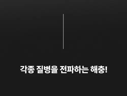 image download (25).webp