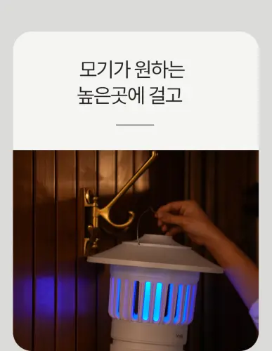 image download (32).webp