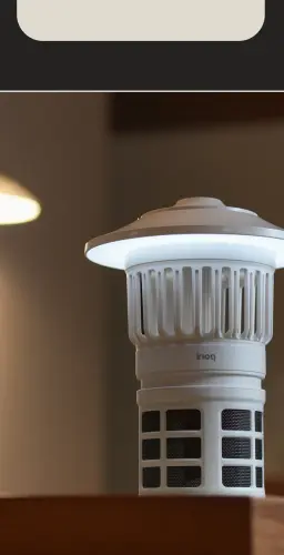 image download (70).webp