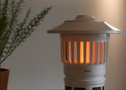 image download (80).webp