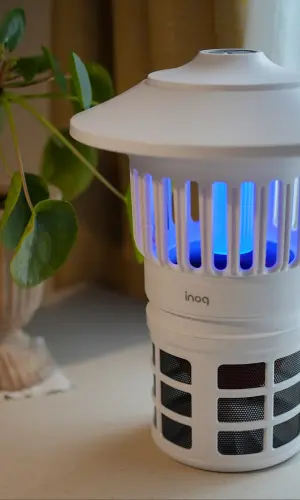 image download (78).webp