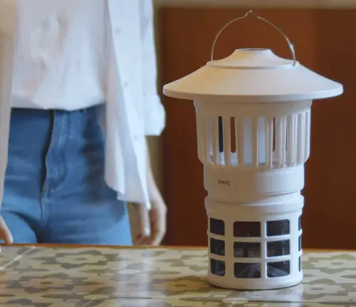 image download (75).webp