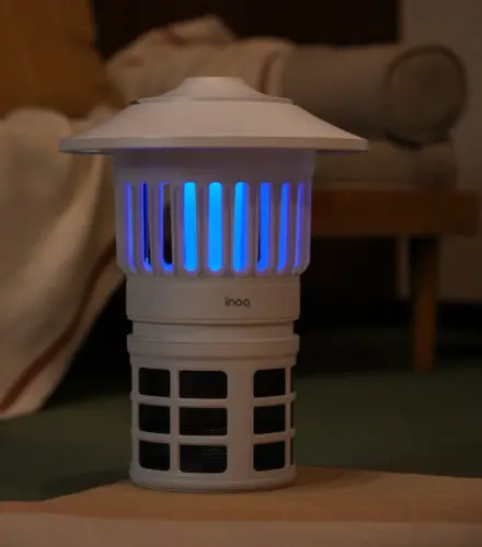 image download (36).webp