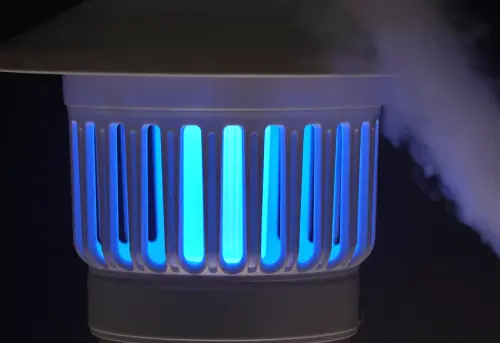 image download (42).webp