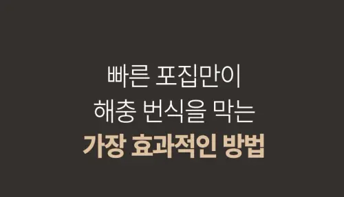 image download (45).webp