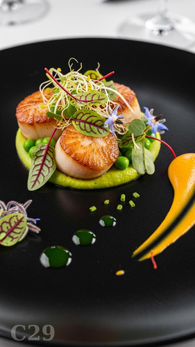 f7283b8c bfa1 4c41 b8cc 3ff448acb507.jpg