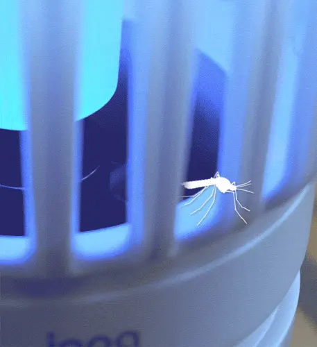 image download (44).webp