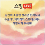 스토어홍보하기 (1).gif