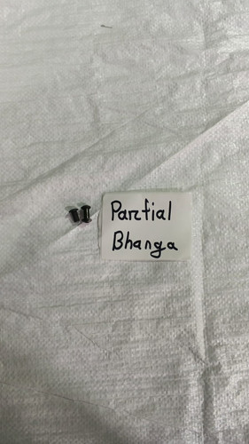 WhatsApp Image 2026 03 09 at 9.21.25 AM.jpg