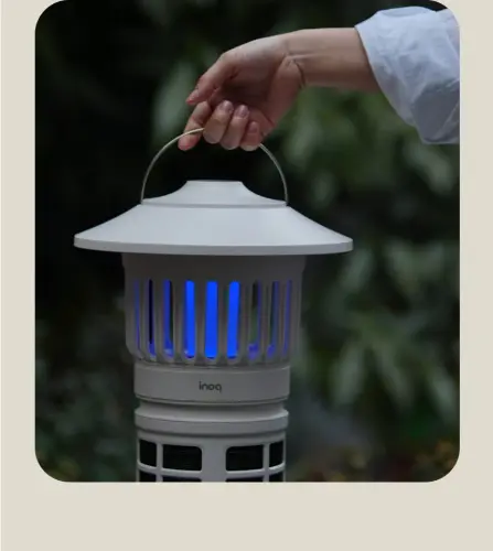 image download (61).webp