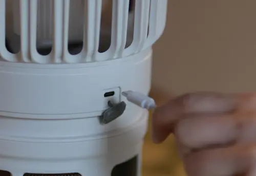 image download (63).webp