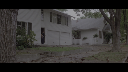 20260309 132508 023578.png