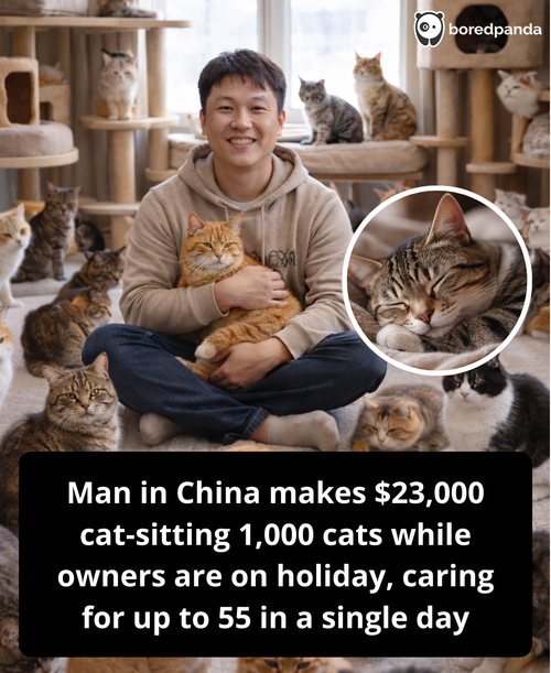 168. Man makes $23k a month by feeding 1000 cats while owners are on holiday.png