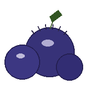 951e982b04fe.png