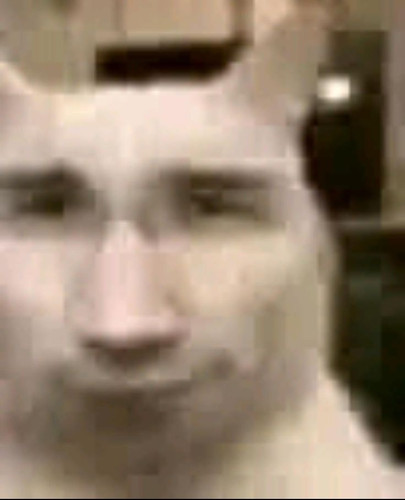 markiplier cat.jpg