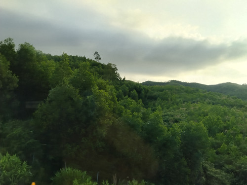 IMG 20251017 163239.jpg