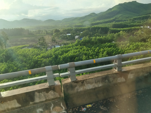 IMG 20251017 164329.jpg