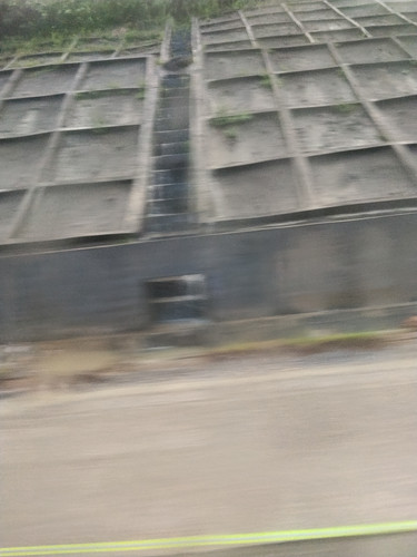 IMG 20251017 172102.jpg