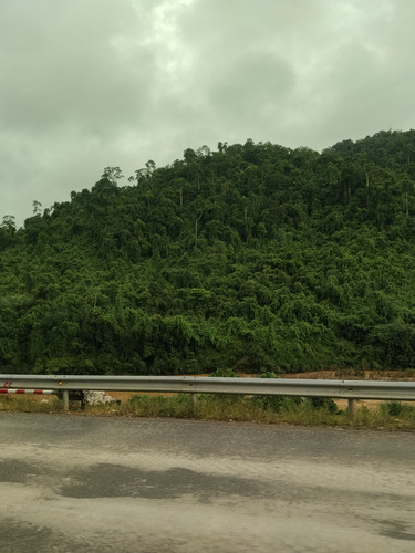 IMG 20251017 170256.jpg