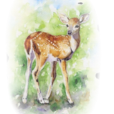 deer.png