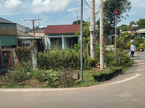 IMG 20251018 100809.jpg