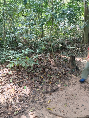 IMG 20251018 105112.jpg