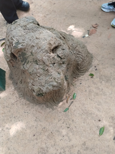 IMG 20251018 105159.jpg