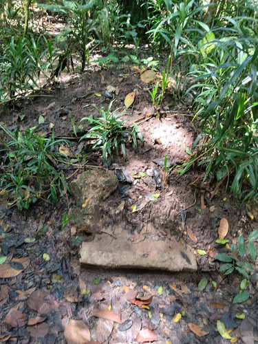 IMG 20251018 110448.jpg