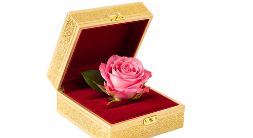 6033c23d1907.png
