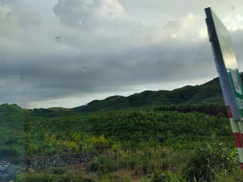 IMG 20251017 163217.jpg