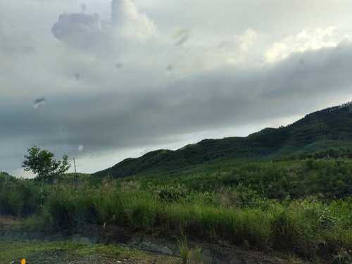 IMG 20251017 163219.jpg