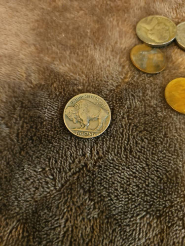 7237eeb71bb8.jpg