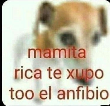 1000260359.jpg